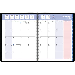 At-A-Glance Quicknotes Special Edition Monthly Planner