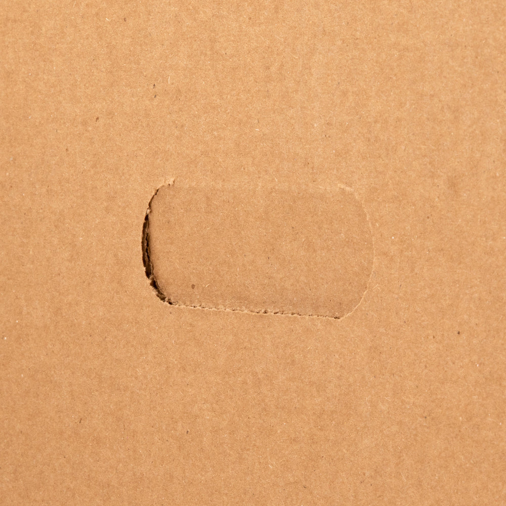 Business Source Economy Storage Box with Lid