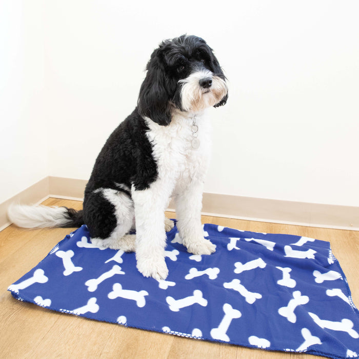 Bone designs hotsell dog bed