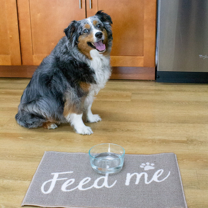 Dog Mat, Absorbent Rubber Backing Dog Mat for and Water Bowl